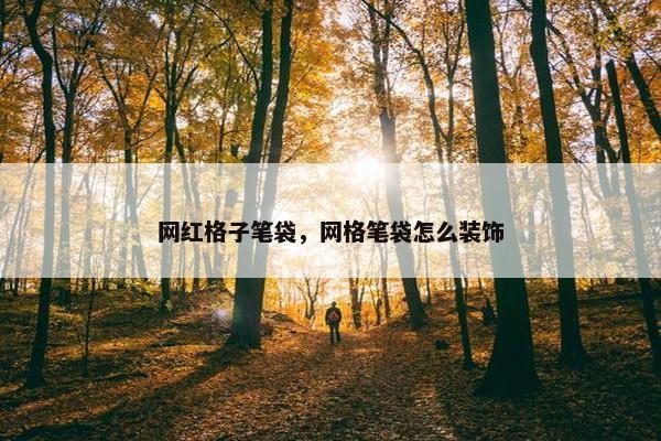 网红格子笔袋，网格笔袋怎么装饰