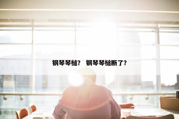 钢琴琴槌？ 钢琴琴槌断了？