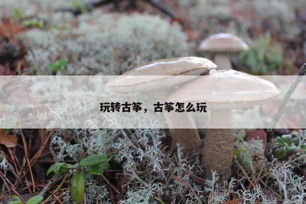 玩转古筝，古筝怎么玩