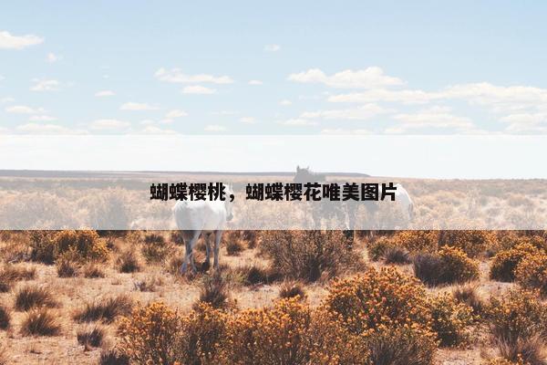 蝴蝶樱桃，蝴蝶樱花唯美图片