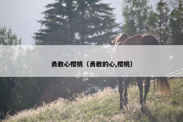 勇敢心樱桃（勇敢的心,樱桃）