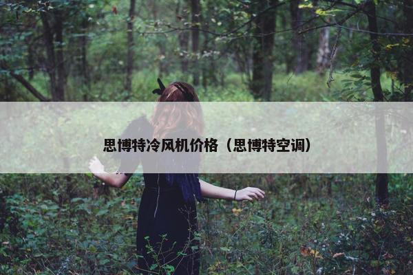 思博特冷风机价格（思博特空调）