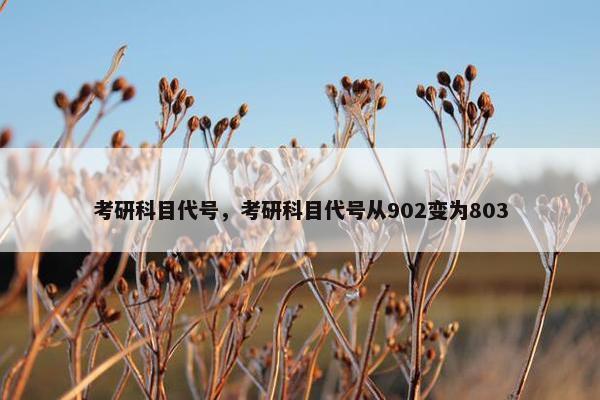 考研科目代号，考研科目代号从902变为803
